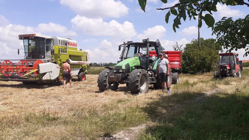 Uspješna žetva na vakufskim parcelama u Bijeljini i Janji (FOTO)