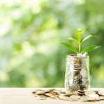 Deset zabluda o zekatu, vitrama i Bejtul-malu