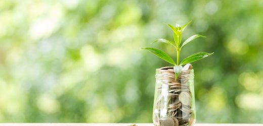 Deset zabluda o zekatu, vitrama i Bejtul-malu